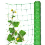 Огіркова сітка Іспанія