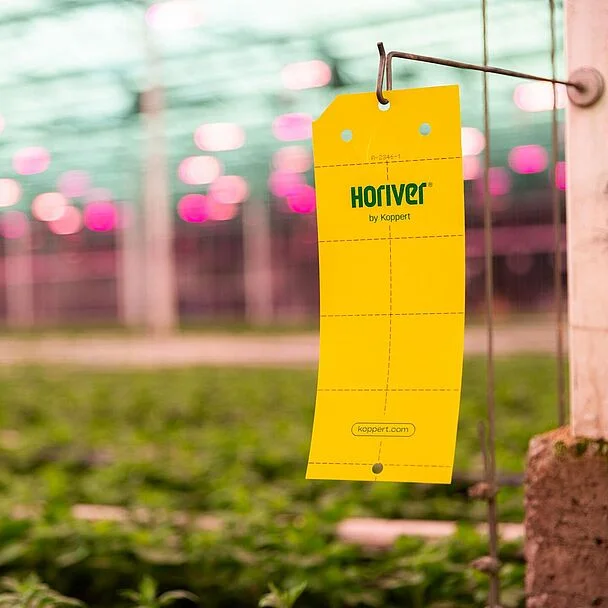 Наліпки Horiver для літаючих комах - Зображення 2