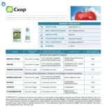 Фунгіцид Скор 2мл - Зображення 2