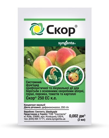 funhitsyd-skor-2ml.jpg Фунгіцид Скор 2мл - Зображення 1