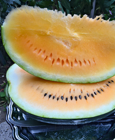 kavun-oranzh-laksheri-f1.png Кавун Оранж Лакшері F1 - Зображення 1