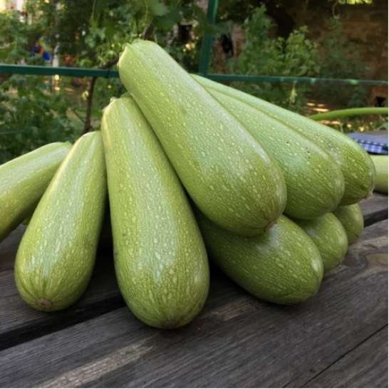 marsella-f1.png Марселла F1 - Зображення 1