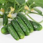 Огірок Пролікс F1 - Зображення 2