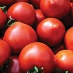 Томат Меланет F1 - Зображення 2