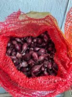 Цибуля сіянка Ред Барон 500 гр - Зображення 2