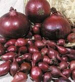 Цибуля сіянка Ред Барон 500 гр