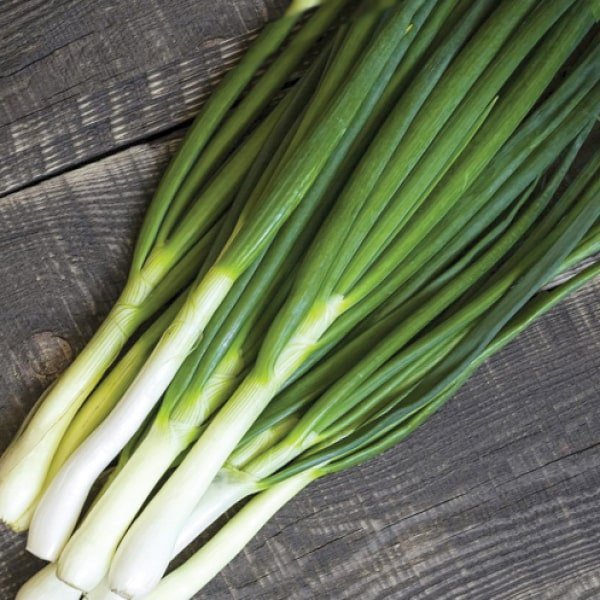 tsybulia-vulkan.jpg Цибуля Вулкан - Зображення 1