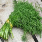 Кріп Амброзія