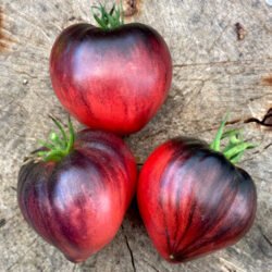 Томат Сержант Пеппер рожевий