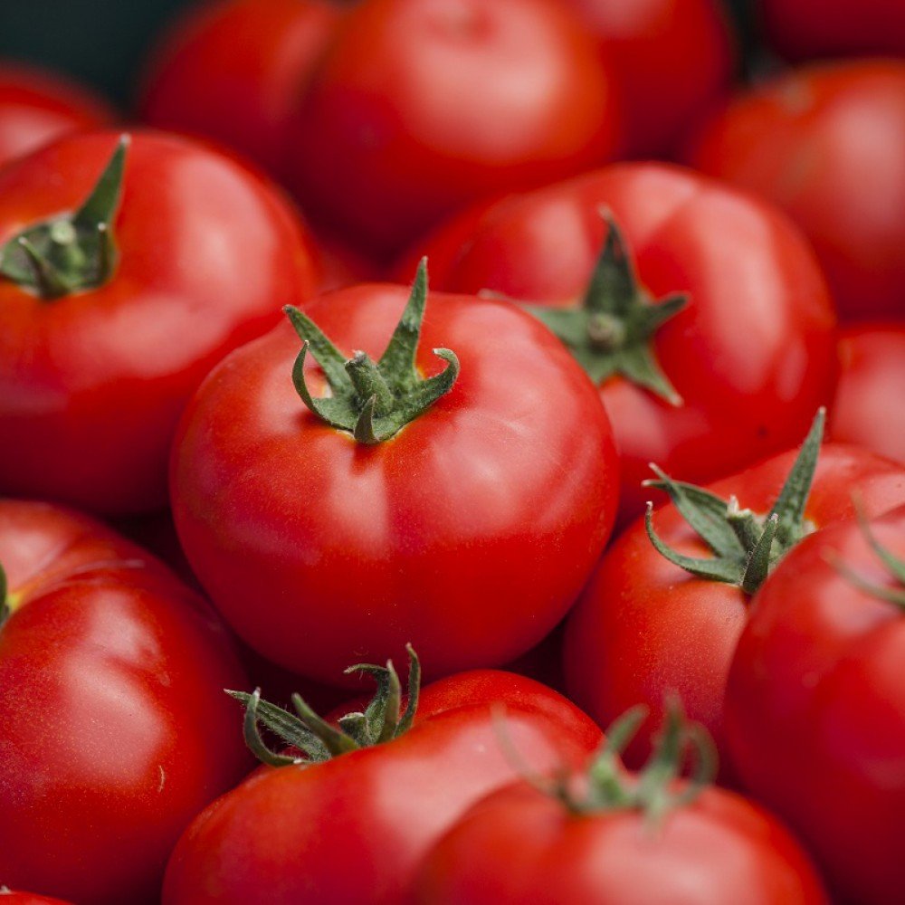 16268_3754-1000x1000x Томат Бодерін - Зображення 1