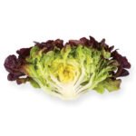 Салат Руксай