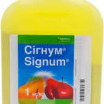 Сігнум