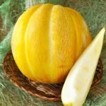 Диня Ефіопка - Зображення 2